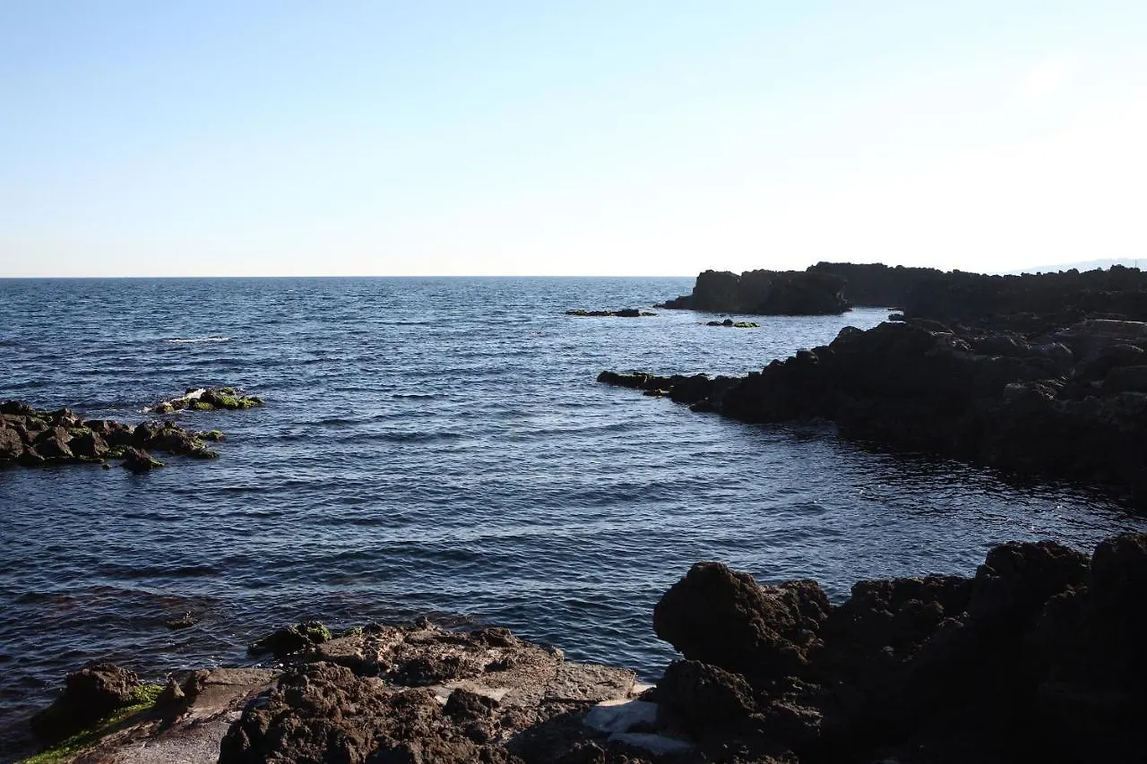 アパート Adriana Casa Vacanze Holiday Tours In Sicily アチレアーレ